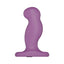 Nexus G-Play Plus Purple Small