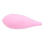 Loving Joy Remote Controlled Vibrating Egg