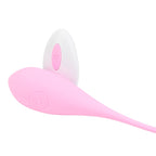 Loving Joy Remote Controlled Vibrating Egg