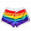Lucifer Rainbow Swim Shorts – Summer Vibe Collection UK