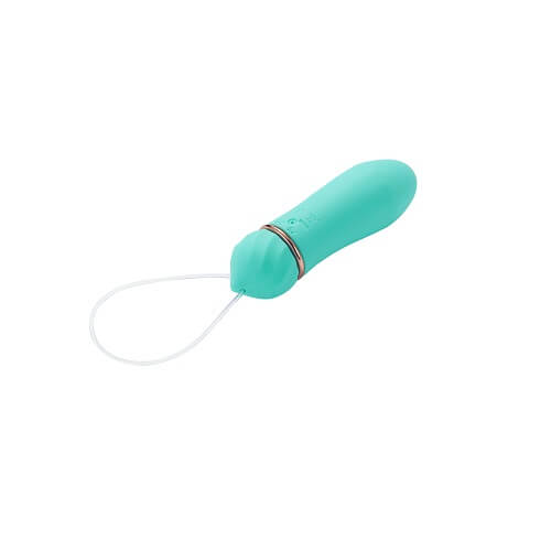 mina-remote-controlled-vibrator