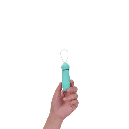 mina-remote-controlled-vibrator