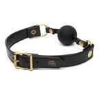 fifty-shades-of-grey-bound-to-you-ball-gag-2