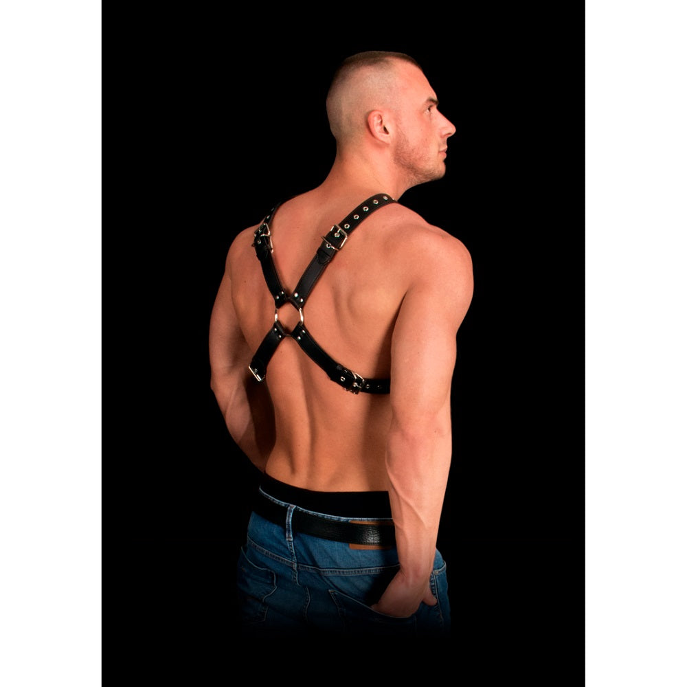 Adonis High Halter Bonded Leather Harness One Size Secondary image