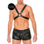 leather-harness-with-large-buckle-one-size
