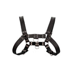 bulldog-leather-chest-harness-l-xl