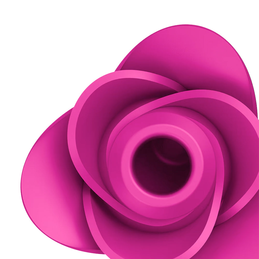 Satisfyer Pro 2 Modern Blossom Rose Vibrator